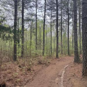 Photo #35 of  36.2 acres