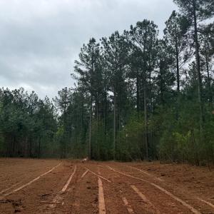 Photo #38 of  36.2 acres