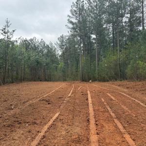Photo #39 of  36.2 acres