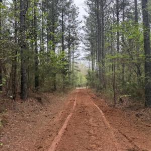 Photo #40 of  36.2 acres