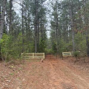 Photo #41 of  36.2 acres