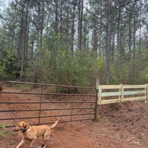 Photo #42 of  36.2 acres