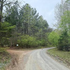 Photo #43 of  36.2 acres