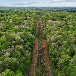 Photo #7 of 10201 SHAWNEE LN, SPOTSYLVANIA, VA 5.4 acres