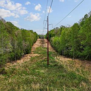 Photo #15 of 10201 SHAWNEE LN, SPOTSYLVANIA, VA 5.4 acres