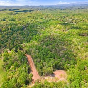 Photo #1 of FLETCHER LN, AMISSVILLE, VA 51.6 acres