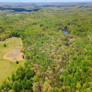 Photo #2 of FLETCHER LN, AMISSVILLE, VA 51.6 acres