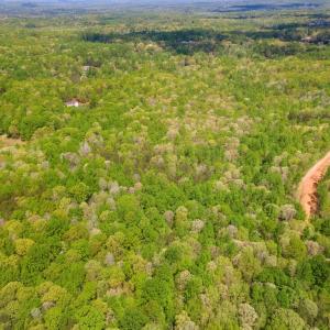 Photo #3 of FLETCHER LN, AMISSVILLE, VA 51.6 acres
