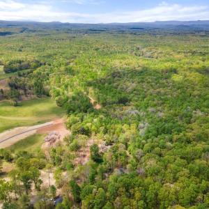 Photo #5 of FLETCHER LN, AMISSVILLE, VA 51.6 acres