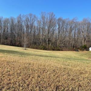 Photo #5 of SECLUSION SHORES DR, MINERAL, VA 1.3 acres