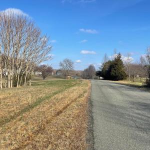 Photo #6 of SECLUSION SHORES DR, MINERAL, VA 1.3 acres