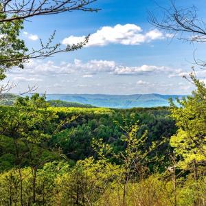 Photo #1 of 1 CUBBAGE HOLLOW ROAD, STANLEY, VA 225.3 acres