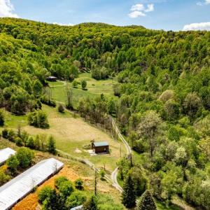 Photo #25 of 1 CUBBAGE HOLLOW ROAD, STANLEY, VA 225.3 acres