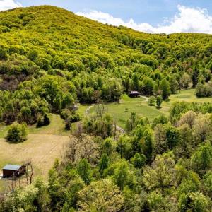 Photo #26 of 1 CUBBAGE HOLLOW ROAD, STANLEY, VA 225.3 acres