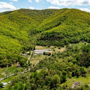 Photo #33 of 1 CUBBAGE HOLLOW ROAD, STANLEY, VA 225.3 acres