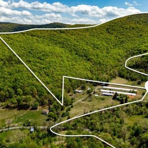 Photo #34 of 1 CUBBAGE HOLLOW ROAD, STANLEY, VA 225.3 acres