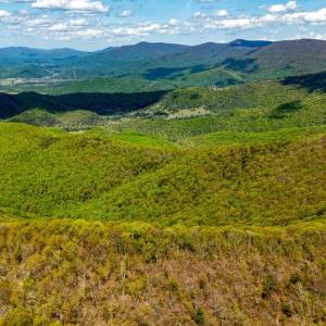 Photo #39 of 1 CUBBAGE HOLLOW ROAD, STANLEY, VA 225.3 acres