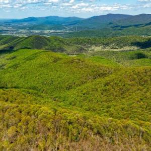 Photo #43 of 1 CUBBAGE HOLLOW ROAD, STANLEY, VA 225.3 acres