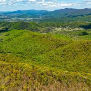 Photo #44 of 1 CUBBAGE HOLLOW ROAD, STANLEY, VA 225.3 acres