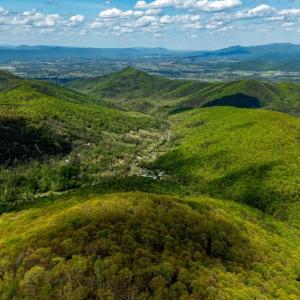 Photo #48 of 1 CUBBAGE HOLLOW ROAD, STANLEY, VA 225.3 acres