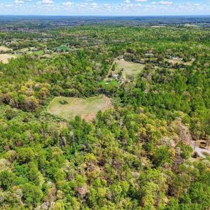 Photo #6 of 9324 RIXEYVILLE, CULPEPER, VA 113.9 acres
