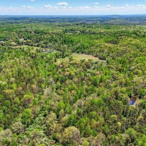 Photo #16 of 9324 RIXEYVILLE, CULPEPER, VA 113.9 acres