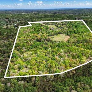 Photo #4 of 9324 RIXEYVILLE ROAD, CULPEPER, VA 113.9 acres