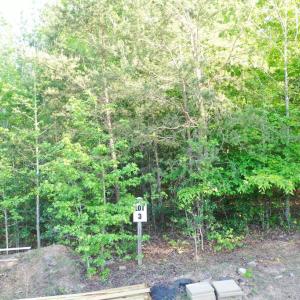 Photo #16 of DEER MOUNTAIN RD, FREDERICKSBURG, VA 5.3 acres