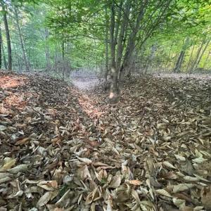 Photo #7 of DEER MOUNTAIN RD, FREDERICKSBURG, VA 5.3 acres