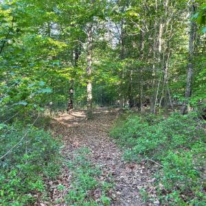 Photo #18 of DEER MOUNTAIN RD, FREDERICKSBURG, VA 5.3 acres