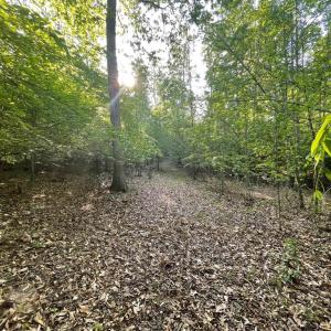 Photo #19 of DEER MOUNTAIN RD, FREDERICKSBURG, VA 5.3 acres