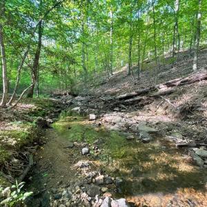Photo #1 of DEER MOUNTAIN RD, FREDERICKSBURG, VA 5.3 acres