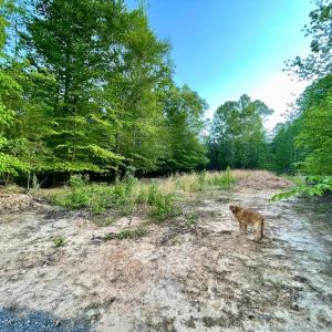 Photo #3 of DEER MOUNTAIN RD, FREDERICKSBURG, VA 5.3 acres