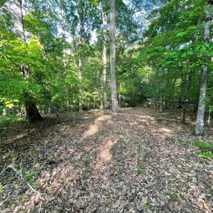 Photo #21 of DEER MOUNTAIN RD, FREDERICKSBURG, VA 5.3 acres