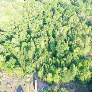 Photo #11 of DEER MOUNTAIN RD, FREDERICKSBURG, VA 5.3 acres