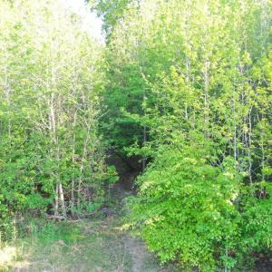 Photo #15 of DEER MOUNTAIN RD, FREDERICKSBURG, VA 5.3 acres