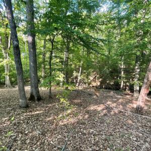 Photo #20 of DEER MOUNTAIN RD, FREDERICKSBURG, VA 5.3 acres