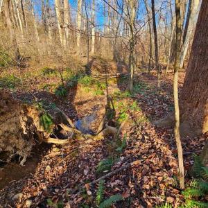 Photo #1 of WAUGH RD, UNIONVILLE, VA 30.8 acres