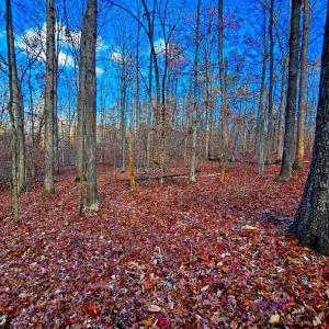 Photo #6 of WAUGH RD, UNIONVILLE, VA 30.8 acres