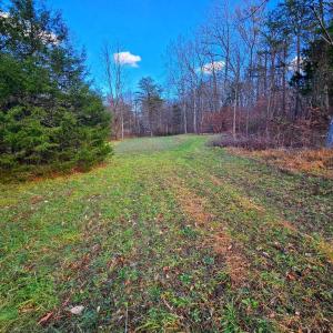 Photo #3 of WAUGH RD, UNIONVILLE, VA 30.8 acres