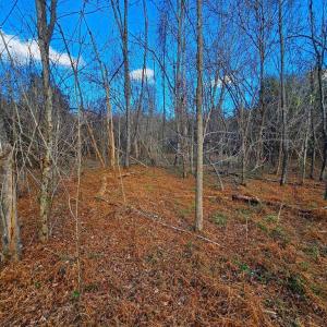 Photo #7 of WAUGH RD, UNIONVILLE, VA 30.8 acres
