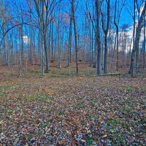 Photo #8 of WAUGH RD, UNIONVILLE, VA 30.8 acres