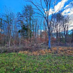 Photo #9 of WAUGH RD, UNIONVILLE, VA 30.8 acres