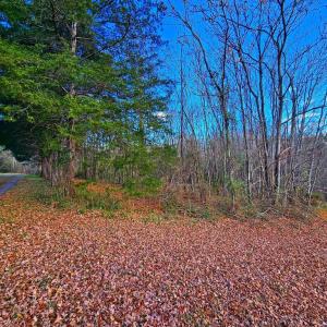 Photo #2 of WAUGH RD, UNIONVILLE, VA 30.8 acres