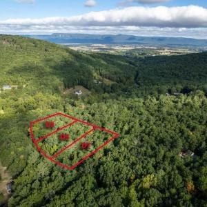 Photo #9 of HOLIDAY HILL RD., LURAY, VA 1.3 acres