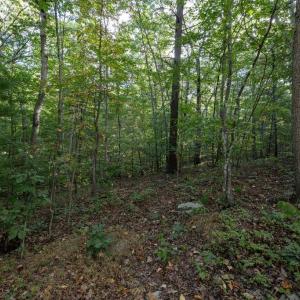 Photo #32 of HOLIDAY HILL RD., LURAY, VA 1.3 acres