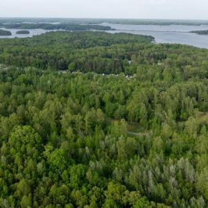 Photo #5 of LOT 7 KIMBERLY CT, BUMPASS, VA 2.8 acres