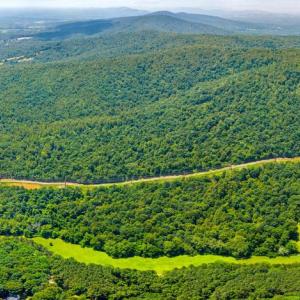 Photo #3 of STONY POINT PASS, KESWICK, VA 123.8 acres