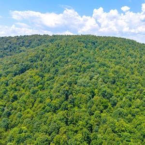 Photo #9 of STONY POINT PASS, KESWICK, VA 123.8 acres