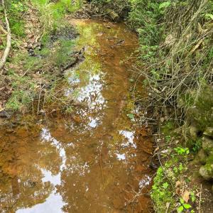 Photo #5 of STONY POINT PASS, KESWICK, VA 123.8 acres